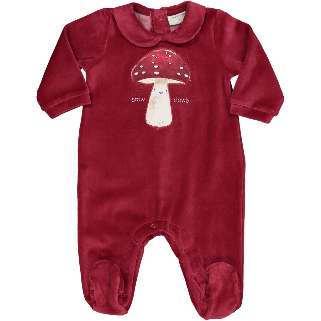 TUTINA CINIGLIA FUNGHETTO