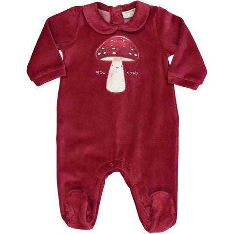 TUTINA CINIGLIA FUNGHETTO