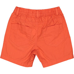 BERMUDA BASIC