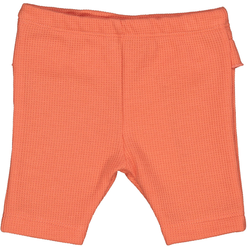 PINOCCHIETTO GOFFRATO