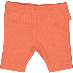 PINOCCHIETTO GOFFRATO