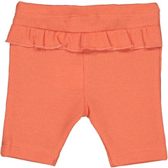 PINOCCHIETTO GOFFRATO