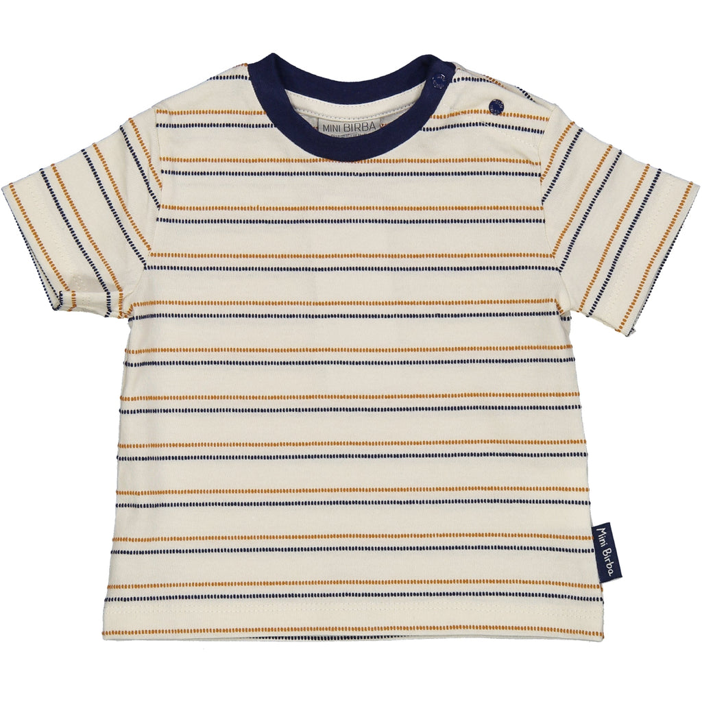 TSHIRT FANTASIA RIGATO