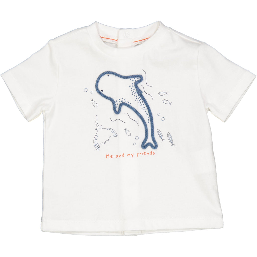 TSHIRT BALENOTTERA