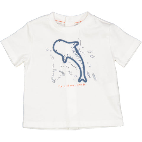 TSHIRT BALENOTTERA