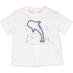 TSHIRT BALENOTTERA