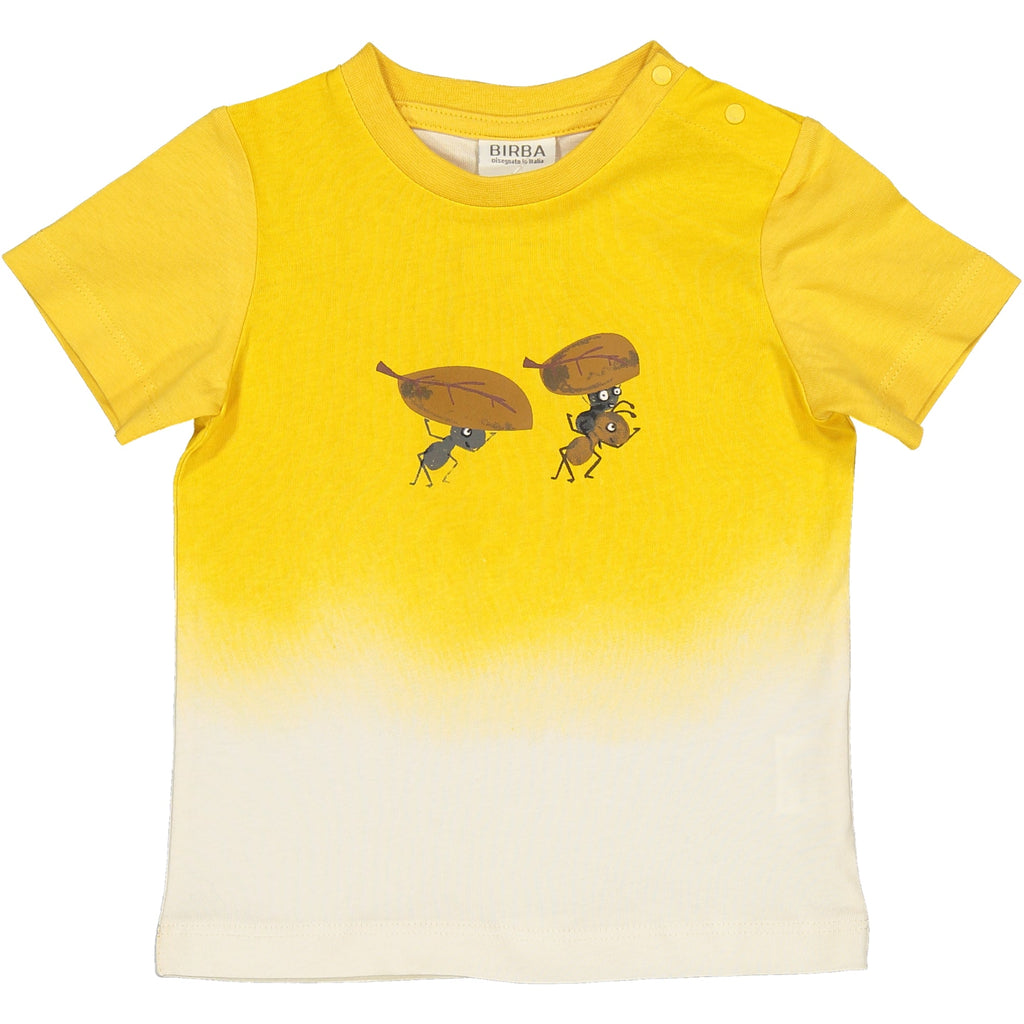 TSHIRT EFFETTO SFUMATO