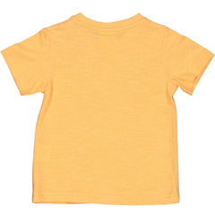 TSHIRT SURF VAN