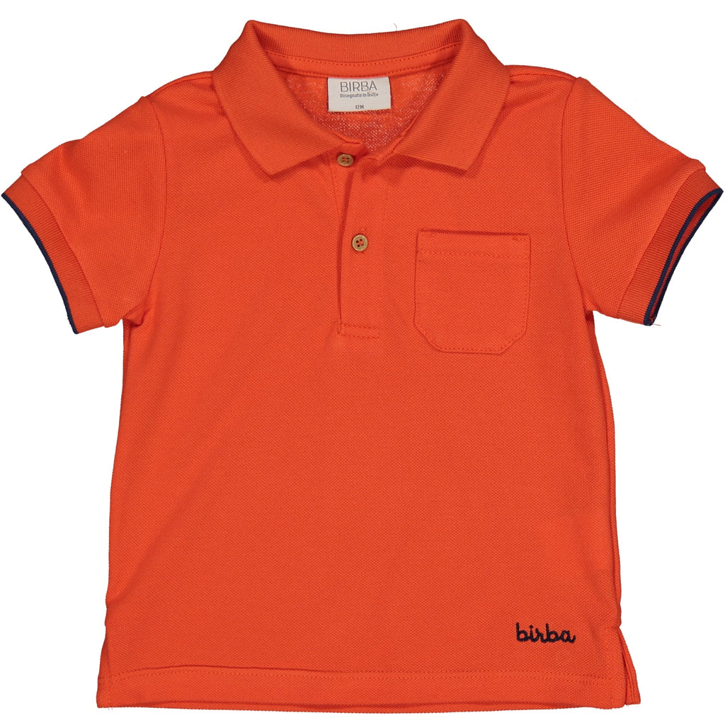 POLO BASIC
