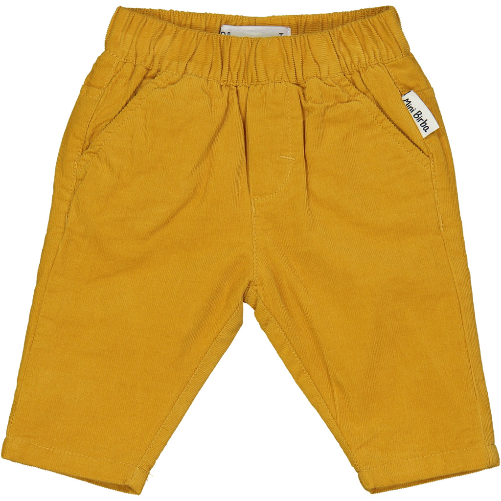 PANTALONE VELLUTO