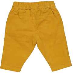 PANTALONE VELLUTO